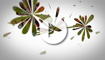 Amanda Beckmann Video - So It Goes