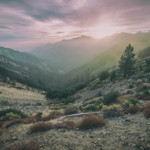 Josh-Patterson_Path-of-the-Sun