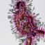 Enrique-Castrejon_Calculated-Sensation-in-Pink-min