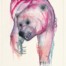 Erynn-Richardson_Study-Bear