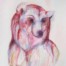 Erynn-Richardson_Bear-Field-Study-1