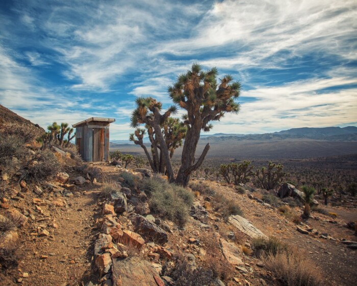 Josh Patterson_Loo with a View