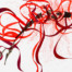 Enrique Castrejon_Spirit in Red Ribbons