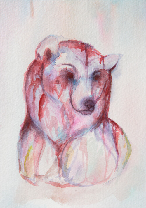 Erynn Richardson_Bear Study 1