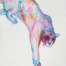 Erynn Richardson_Puma Study