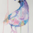 Erynn Richardson_Quail Study 1