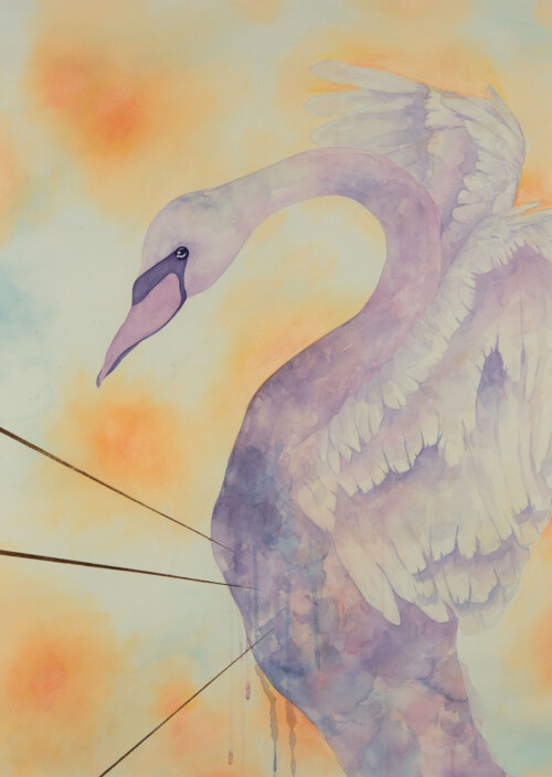 Erynn Richardson_The Sagittation of Her Majesty - Swan