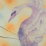 Erynn Richardson_The Sagittation of Her Majesty - Swan