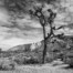 Josh Patterson_Ryan Mountain