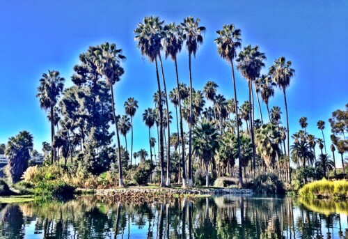 Echo Park Peddleboat, 2018