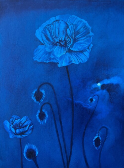 Andrew Norris_Hyacinth Turns Into a Flower