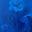 Andrew Norris_Hyacinth Turns Into a Flower