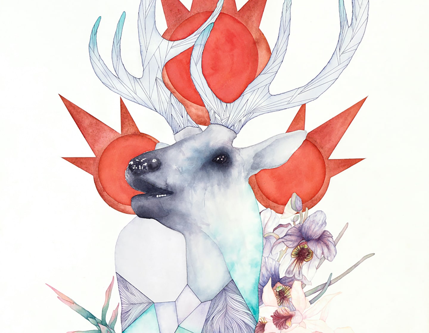 Erynn Richardson_Cervus Canadensis