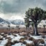 Josh Patterson_Storm's End