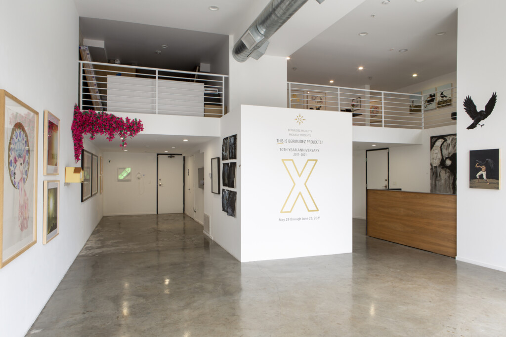 This Is Bermudez Projects_install 002 This Is Bermudez Projects install