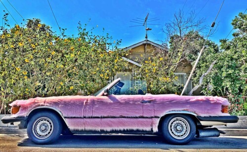 Fuzzy Benz, John S. Rabe